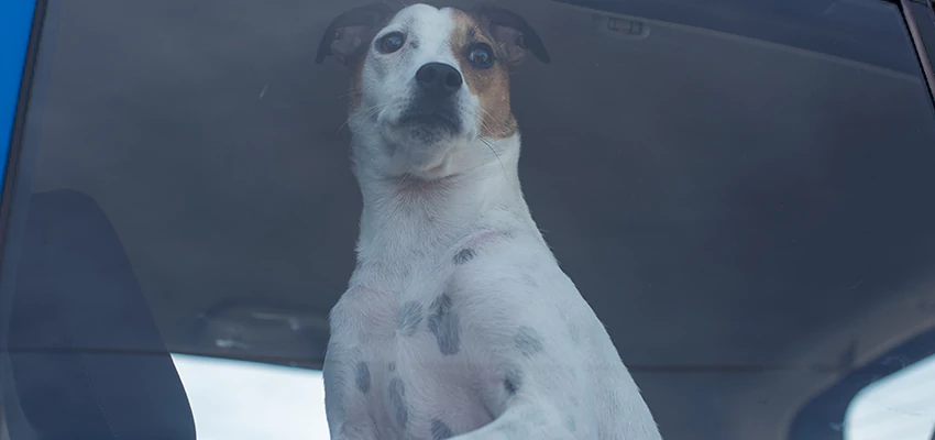 Car Lockout Solutions in West Carson, California